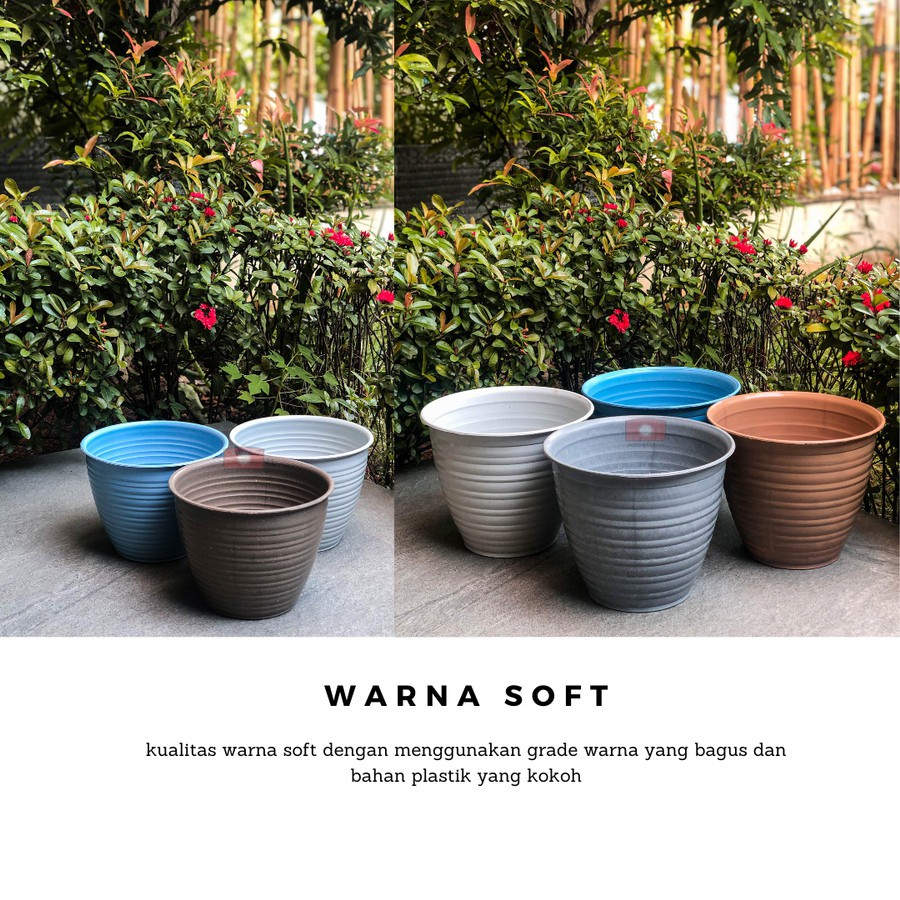 POT BUNGA 15CM Tanaman Pirus Tawon Guci Madu - WARNA SOFT