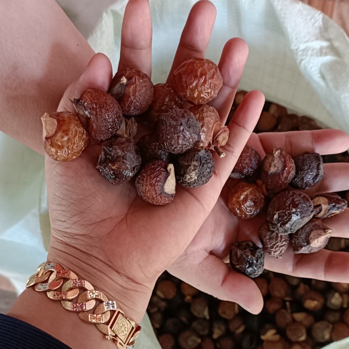 

Biji Lerak Danging Tanpa Biji 1kg Premium