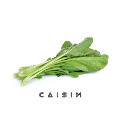

Benih Biji Caisim Sawi Bibit seeds