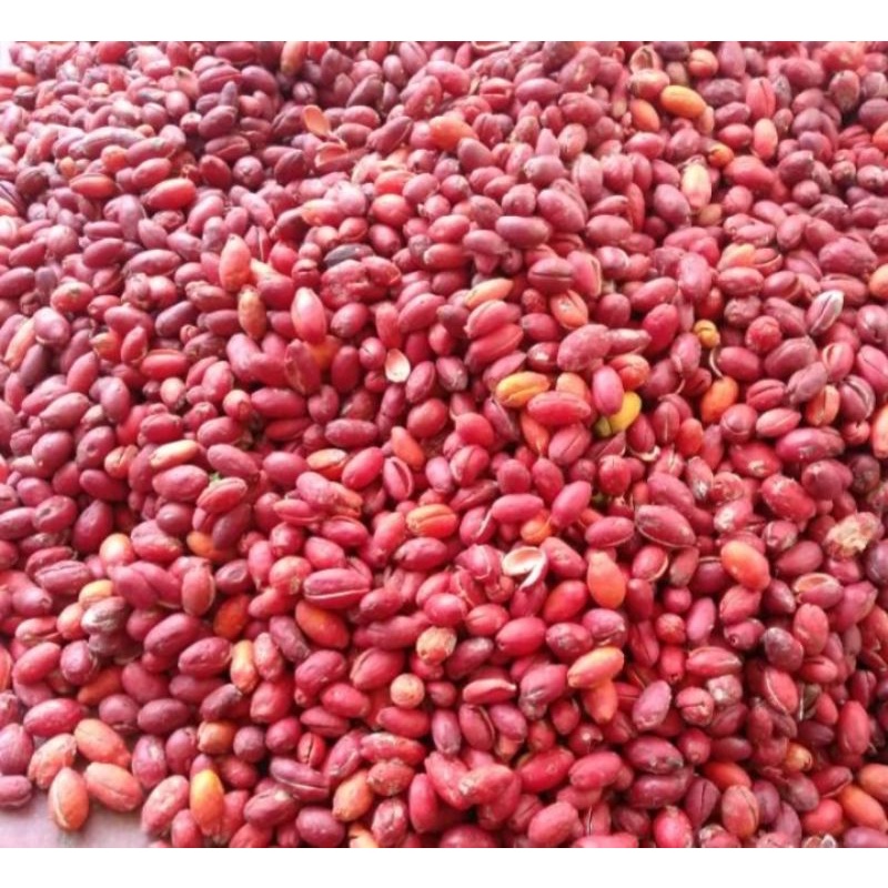 

KuLit MeLinjo/250gram-500gram-1000gram