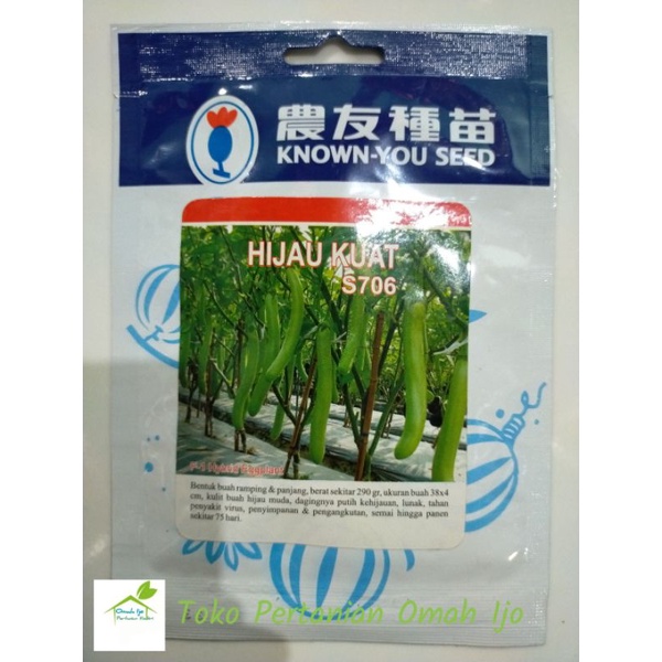 

Terong Hijau Kuat S706 F1 Terong Hijau Panjang Tahan Virus Kemasan 5gr Original Pabrik Know You Seed