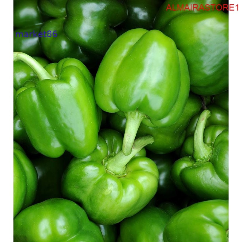 

Sayuran Segar Sayur FRESH Paprika Hijau 250 Gram - WFB .