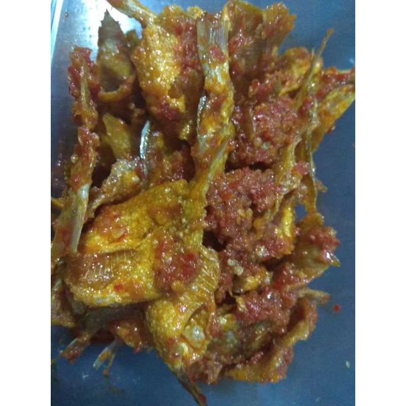 

Teri Balado