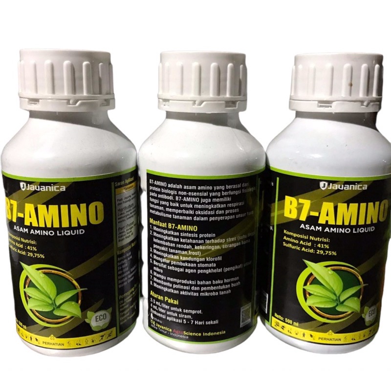 B7-Amino 500 ML Asam Amino Liquid Dari Javanica