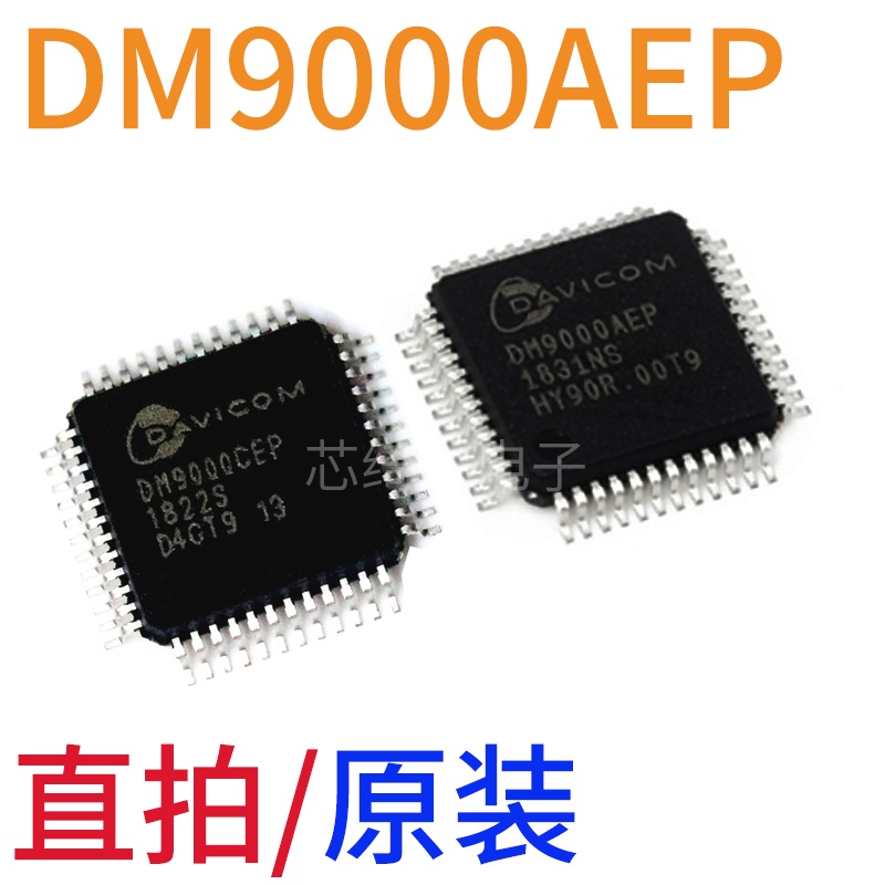 Dm9000aep DM9000CEP Paket Kartu Jaringan LQFP-48 Chip Ethernet Kontrol IC