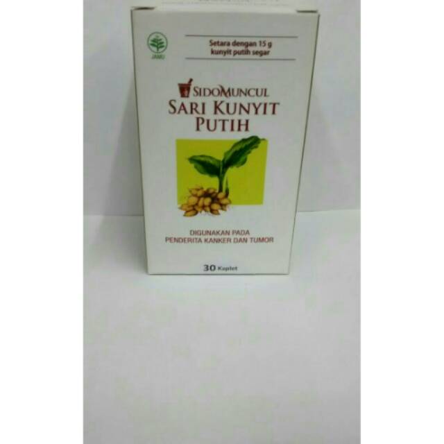 KUNYIT PUTIH SIDOMUNCUL