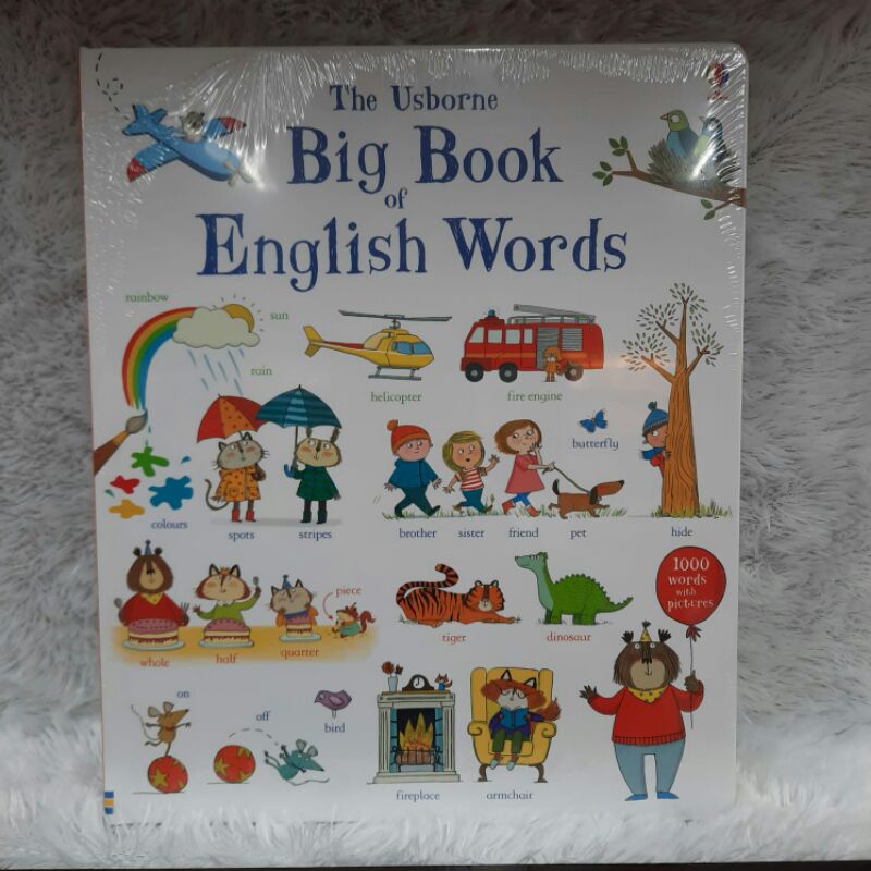 the usborne big book english words