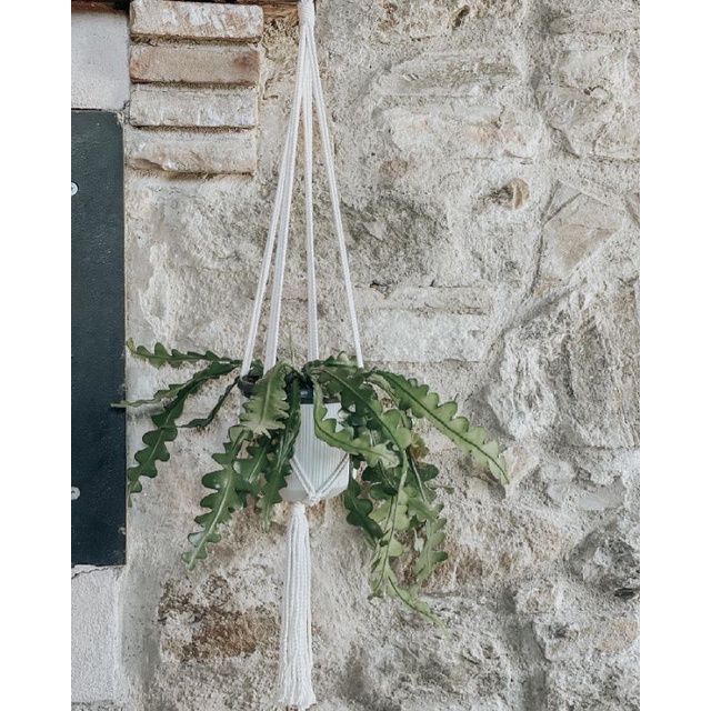 Gantungan pot tanaman macrame aesthetic