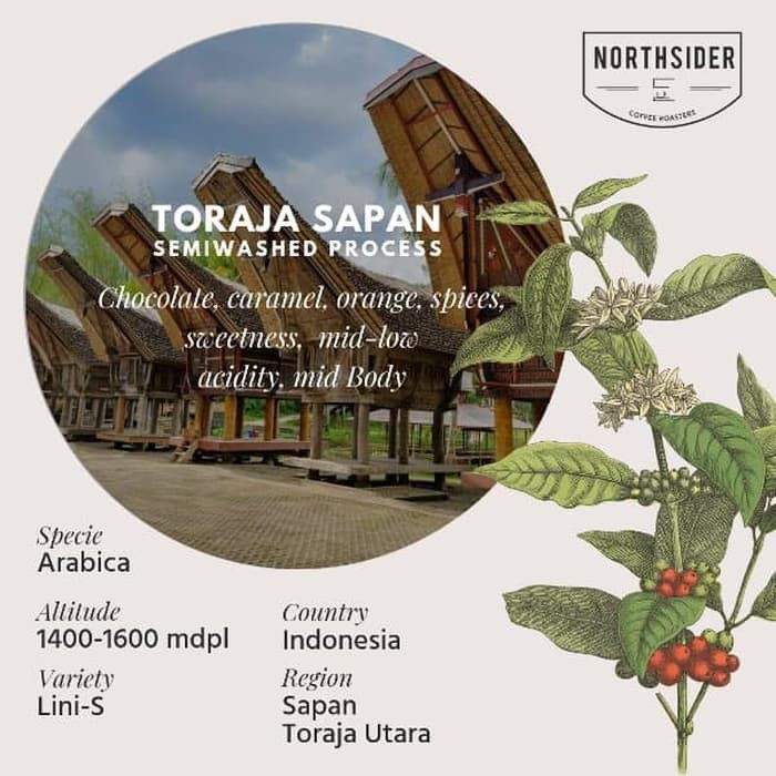 

BIJI KOPI ARABIKA TORAJA SAPAN DRY HULLED - 1KG NORTHSIDER COFFEE