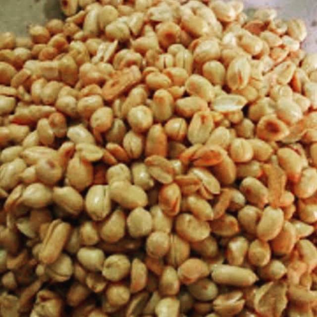 

kacang bawang jawa