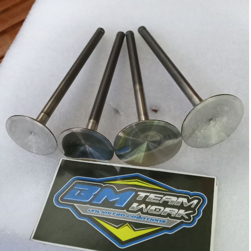 Klep tiger valve tiger racing batang 5,5 diameter standar tiger 31,5/27 by BM Teamwork