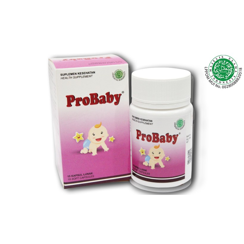 PROBABY NUTRISI UNTUK BAYI MENGANDUNG DHA