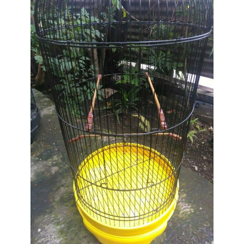 tangkringan konin/pleci sangkar lb (isi 25 set)