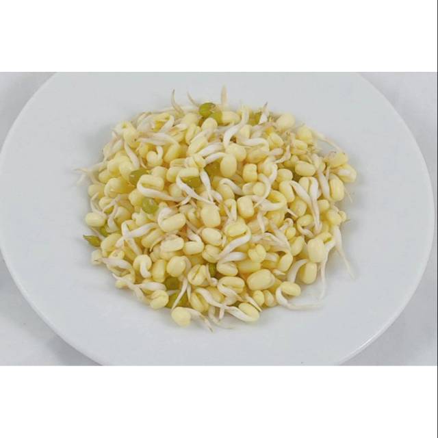 

Toge Rawon / Tauge Rawon / Kecambah Rawon