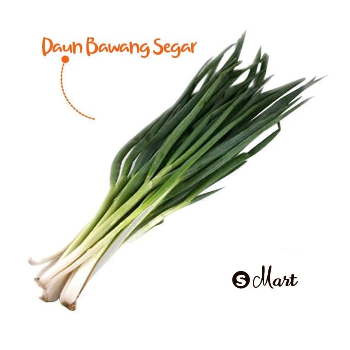 

Daun Bawang 1 ikat - 250 g