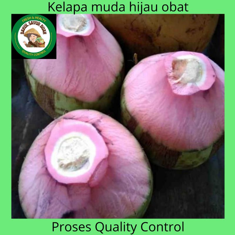 

KELAPA HIJAU OBAT ORIGINAL PER PCS