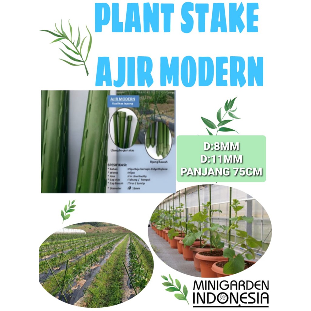 PLANT STAKE AJIR MODERN 75 CM KUALITAS JEPANG penyangga tanaman merambat turus 0,8X75 CM 1,1X75CM