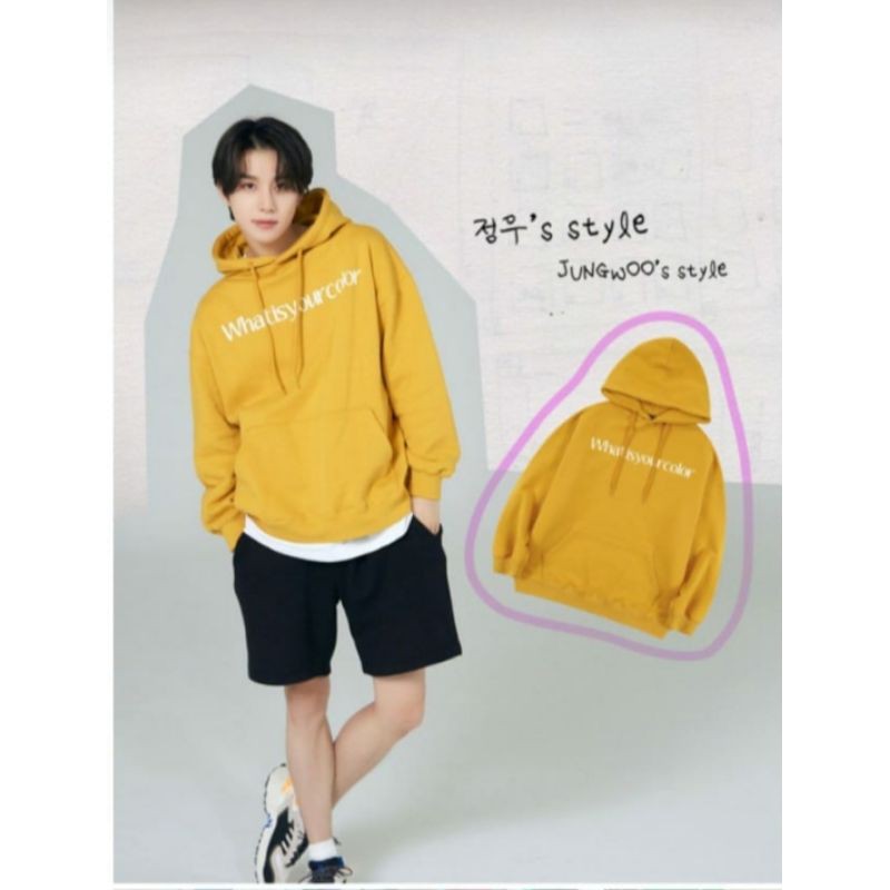 Hoodie sweater KPop Jungwoo style NCT what's your color