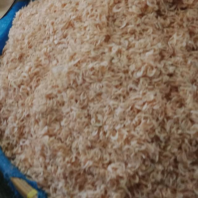 

Udang kecil (kacepe)