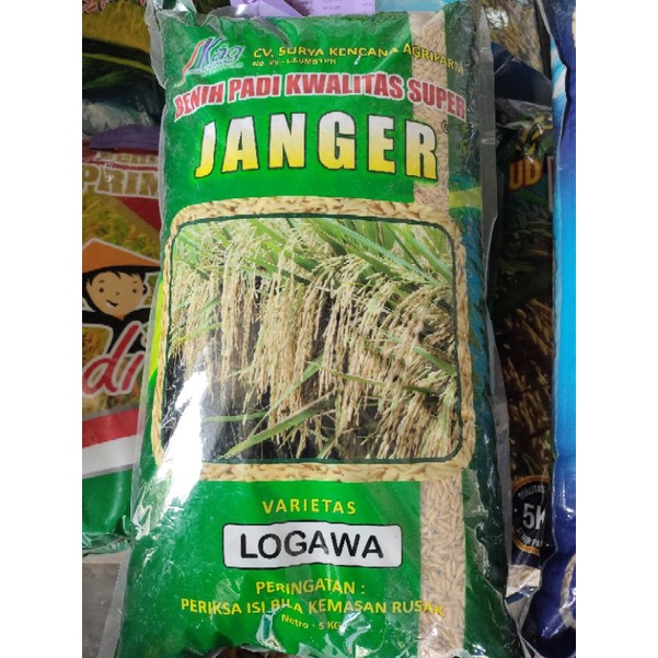 BENIH PADI LOGAWA JANGGER PREMIUM