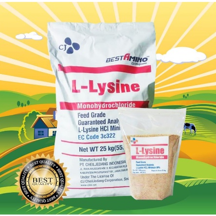 LYSINE 1 KG - Lysine Kucing Vitamin Gemuk Kucing Vitamin Nafsu Makan Imun Kucing