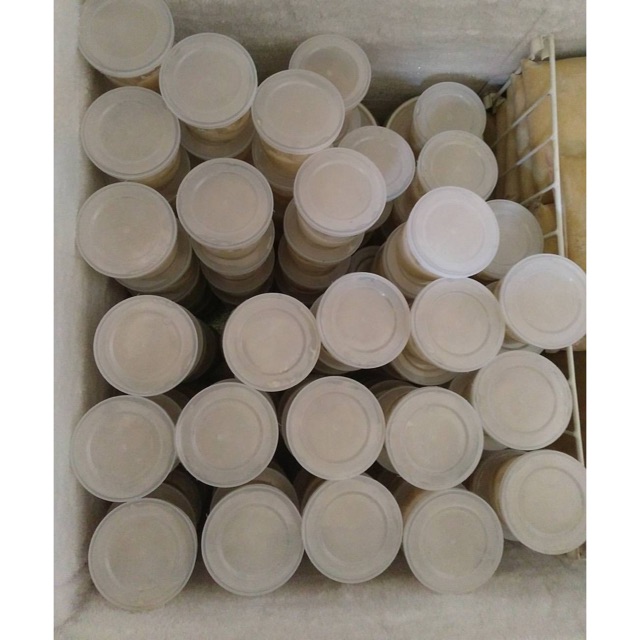 

Durian cup Sigit (maniS dan leGIT)