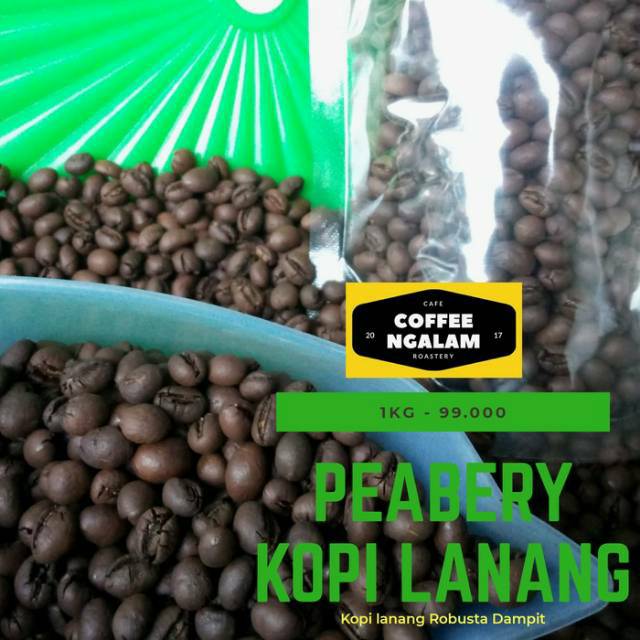 

Kopi Lanang - Peabery - 1kg