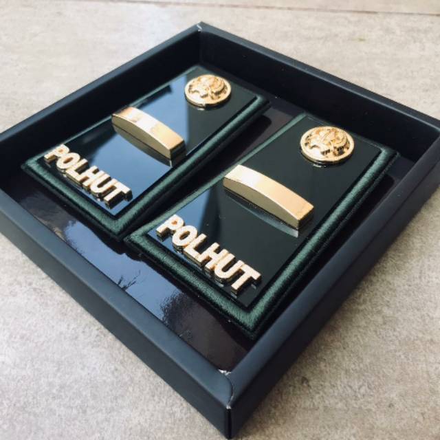 Pangkat Polhut + Wing Polhut Sepaket