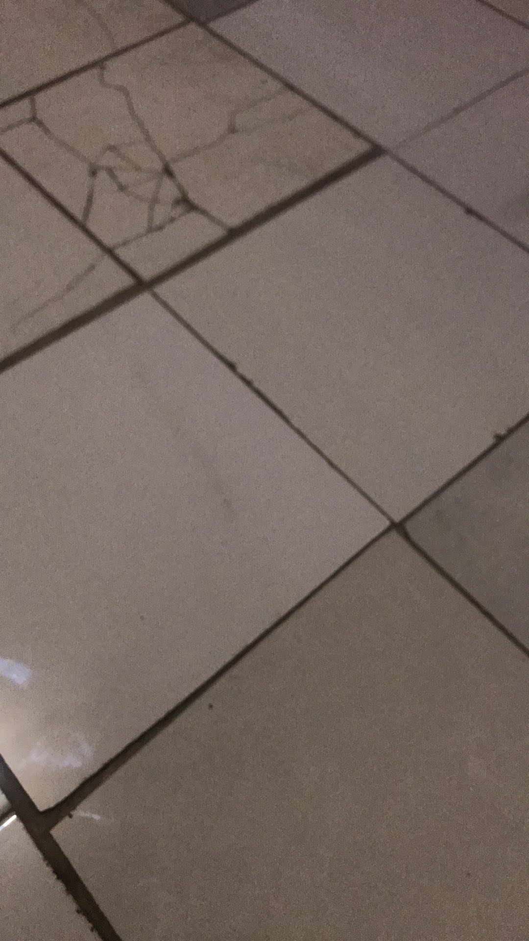 Kowi Krusibel Crucible Peleburan Emas Crucible Melting Disc