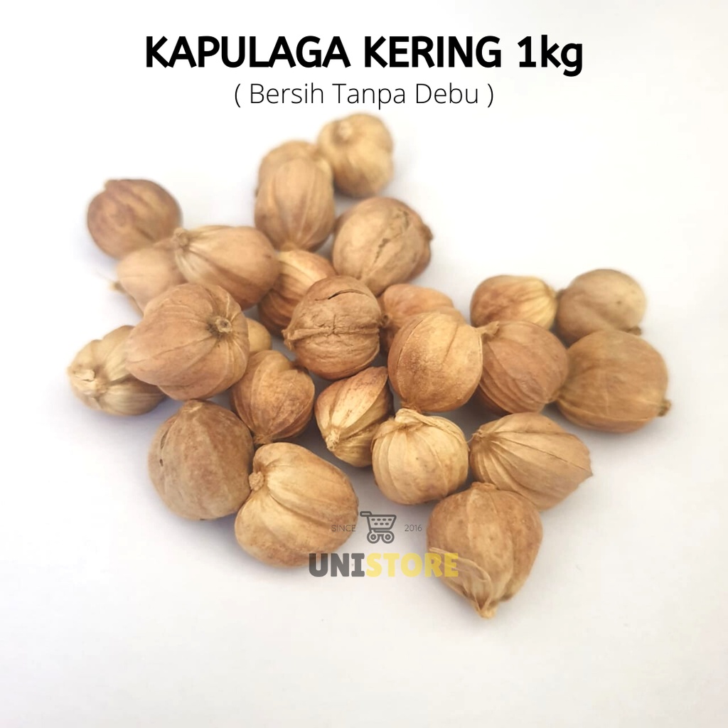 

Grosir 1kg Kapulaga Kering 100% organik Reseler welcome