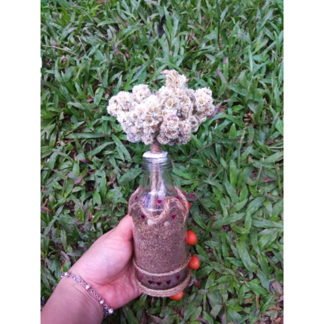 

Kado ultah/kado spesial/kado wisuda/kado unik/Bunga edelweis