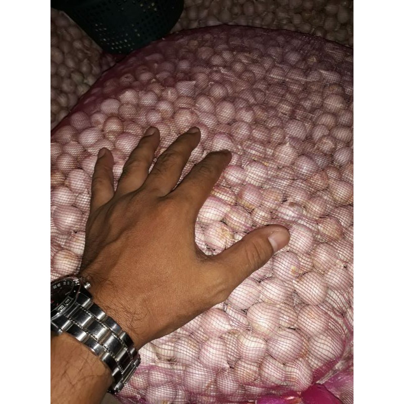 

Bawang tunggal putih 1kg