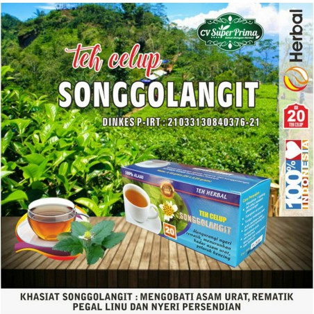 

Teh Celup Songgolangit Alami