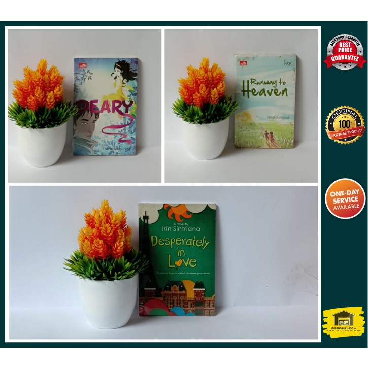 PAKET 3 BUKU Novel Deary, Runway to Heaven, Desperately in Love