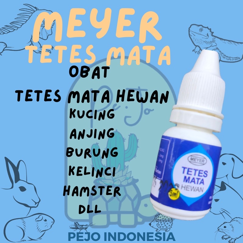 MEYER TETES MATA - Obat Tetes Mata Hewan Kucing Anjing Kelinci Burung