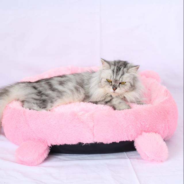 PROMO kasur kucing bulu