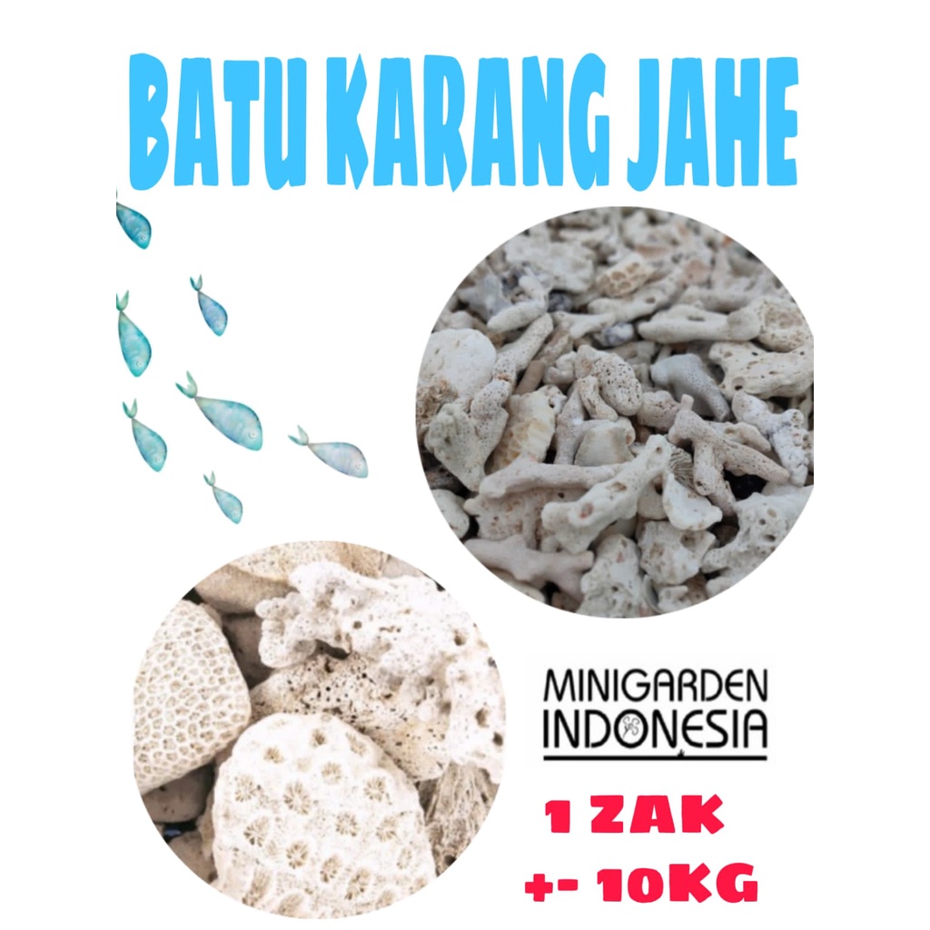 KARANG JAHE ZAK KARUNG 10KG media filter penetral ph air aquarium kolam aquascape