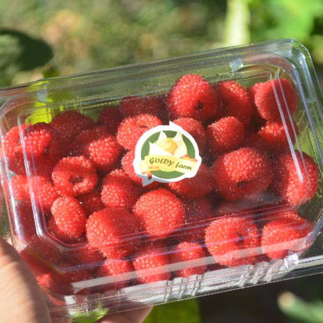 

Fresh Raspberry 200 gr - Ready to eat