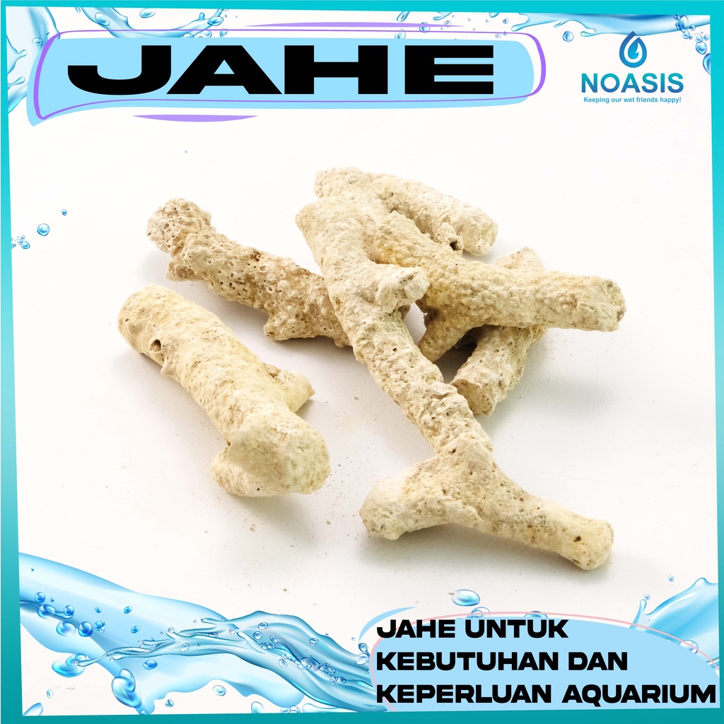 KARANG JAHE MEDIA FILTER UNTUK AQUARIUM AQUASCAPE HIDROPONIK 1 KG