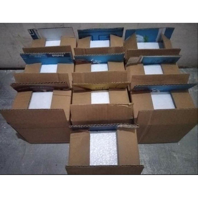 

Tambahan Packing Untuk Keamanan Produk Di Aquatic_Farm