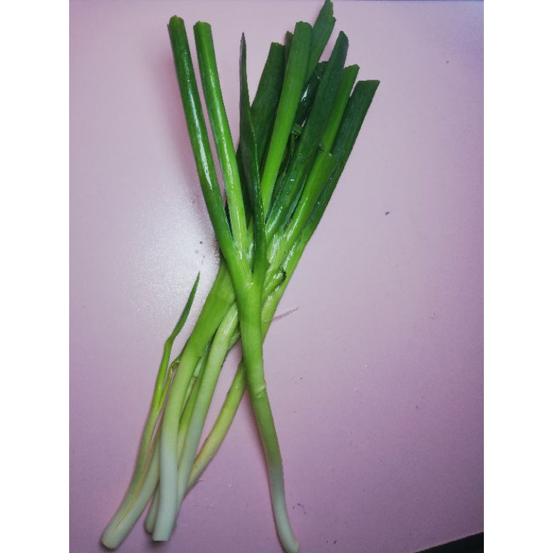 

Daun pre segar sayur LBS