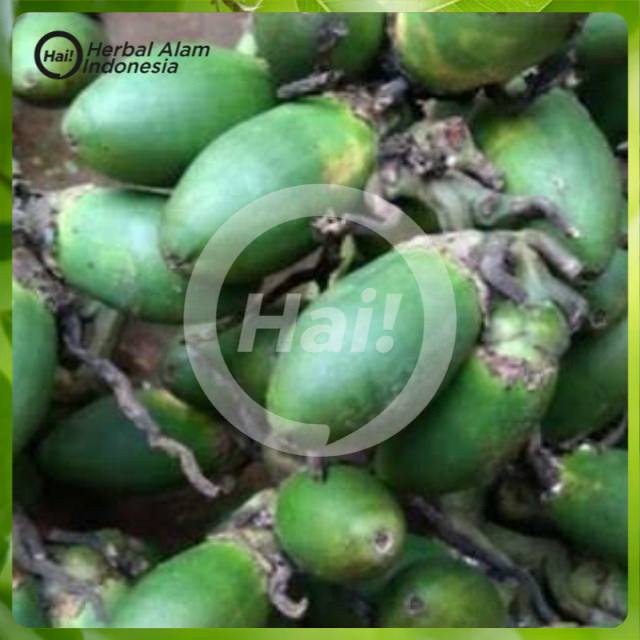

Buah pinang segar 500gram HAI STORE