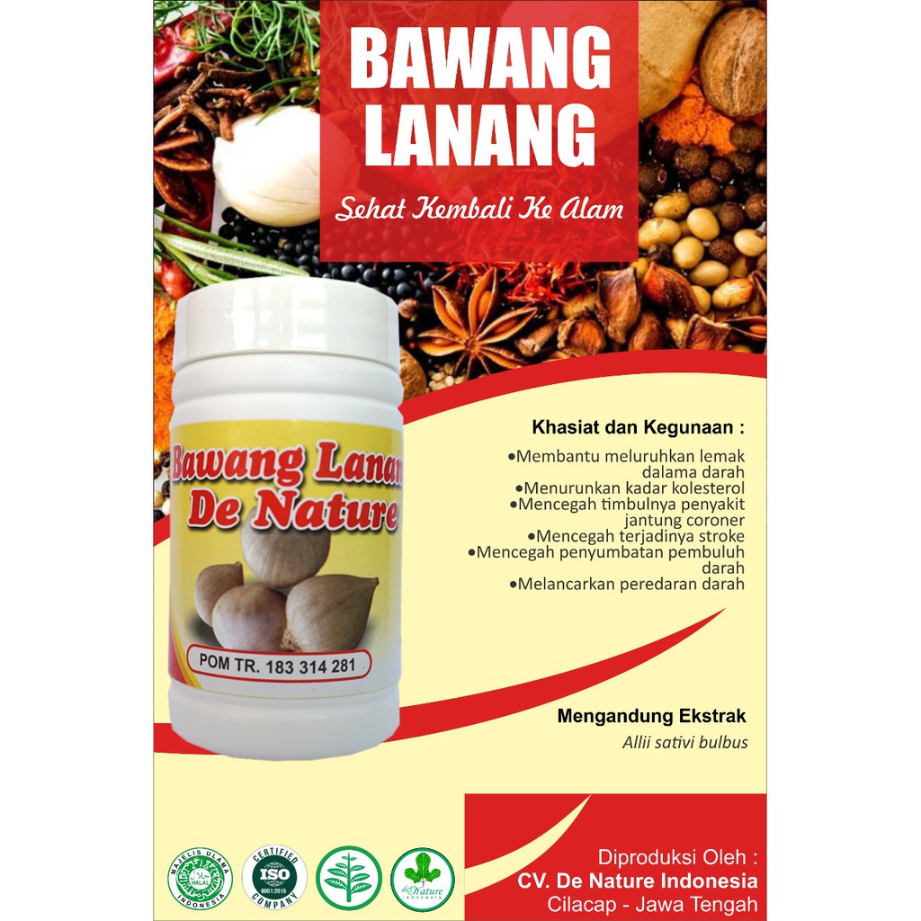 BAWANG LANANG ,obat maag kroni /  obat batuk kronis asma / obat herbal asma / obat maag ampuh