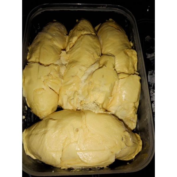 

durian jatohan kimsielegit durian