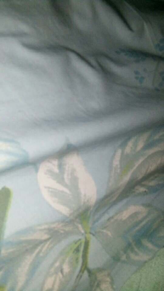 Cuci Gudang !!! Kemeja Batik Pria Lengan Pendek Motif Diamond Prodo