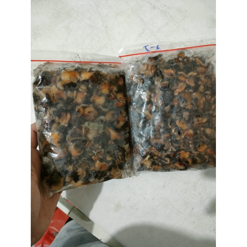 

Daging Kerang Bulu Kupas/Daging kerang kupas frozen/ kerang kupas beku