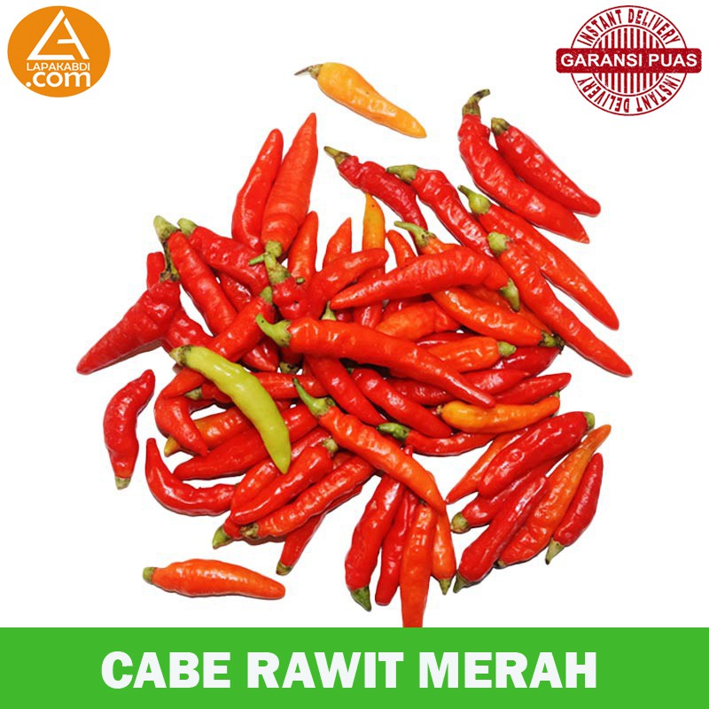 

Cabe Rawit Merah 100gr Sayur Segar Garansi Termurah