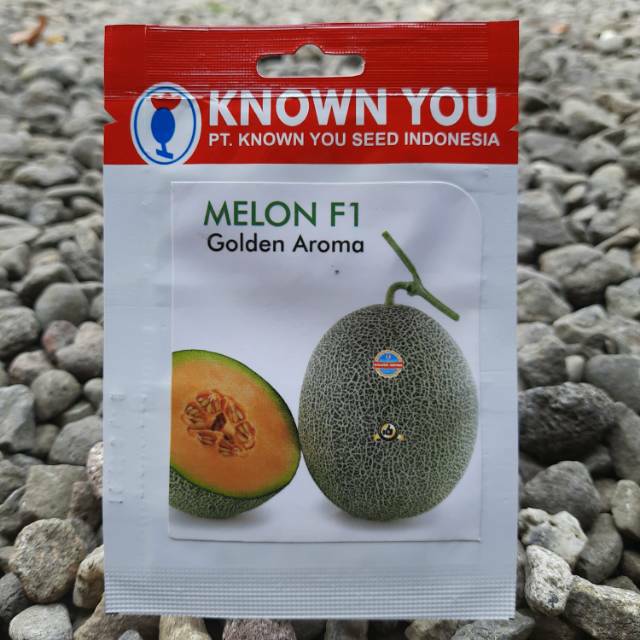 benih buah melon golden GOLDEN AROMA (8btr) Known You Seed
