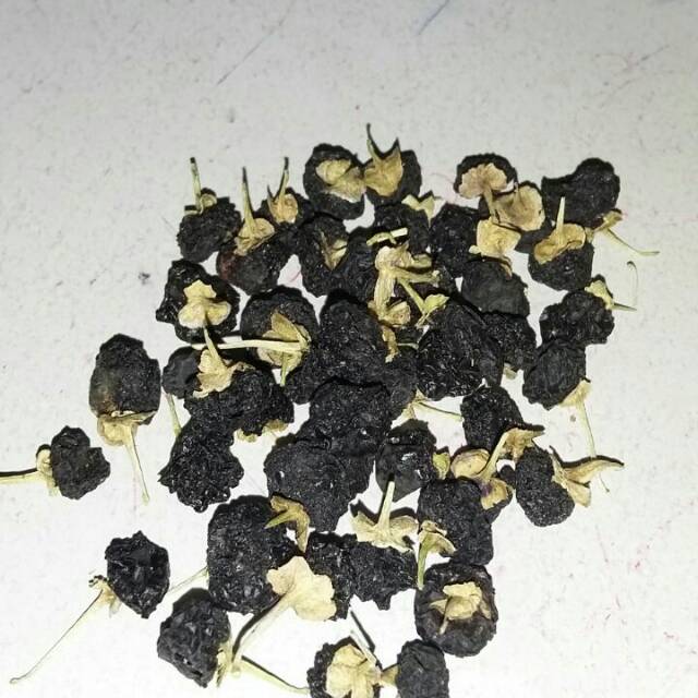 

Gojiberry hitam 50gram 50 gram