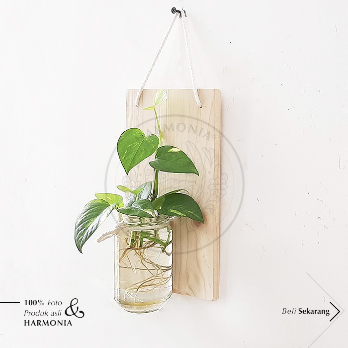 Harmonia DIY Dekorasi Dinding Kayu Tempel